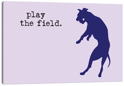 Play The Field Canvas Art Print - Dog is Good and Cat is Good
