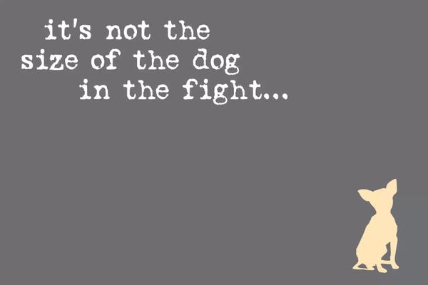 Chihuahuas: Size Of The Dog by Dog is Good and Cat is Good