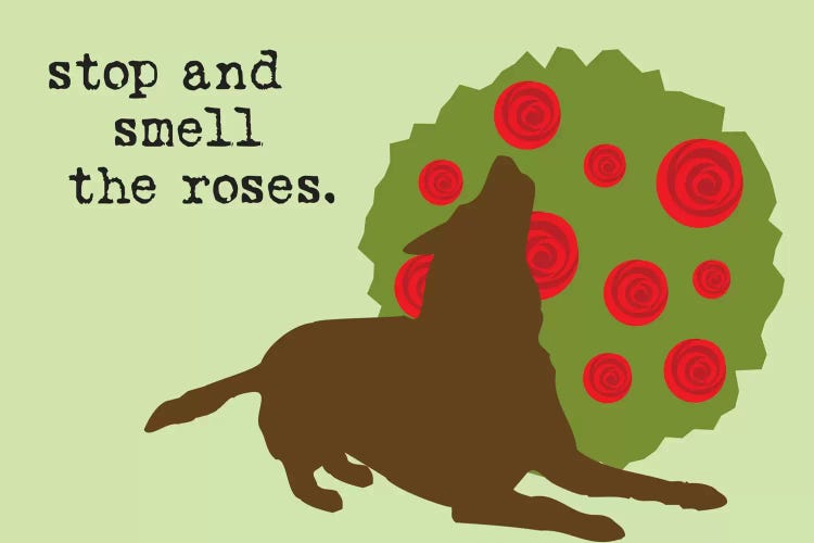 Smell The Roses by Dog is Good and Cat is Good wall art