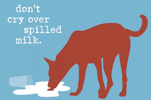 Dairy: Spilled Milk by Dog is Good and Cat is Good