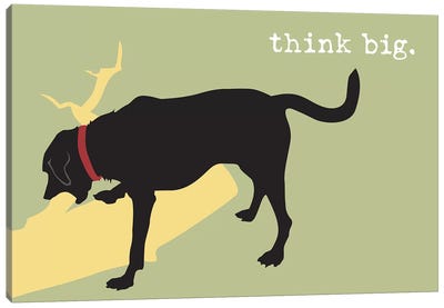 Think Big Canvas Art Print - Animal Typography