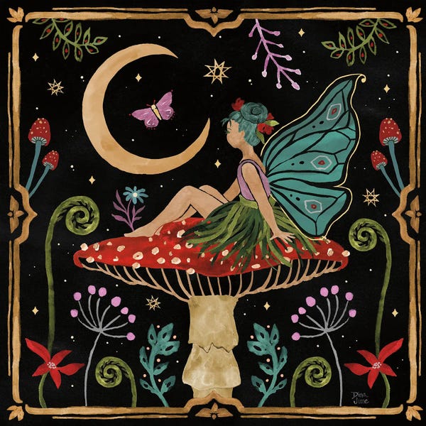 Mushrooms: Garden Of Wonder III Dark by Dina June