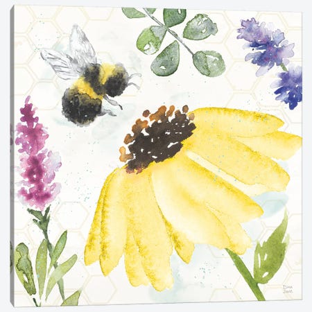 Bee Harmony III Canvas Print #DIJ26} by Dina June Canvas Artwork