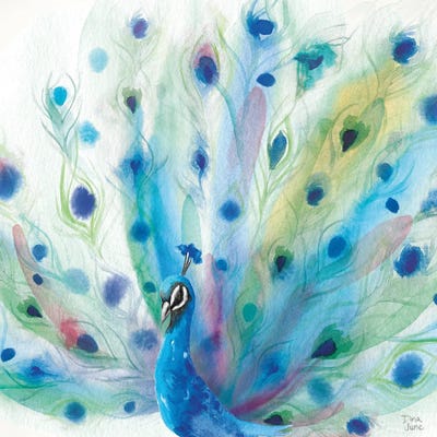 Peacock Glory V by Dina June framed wall art