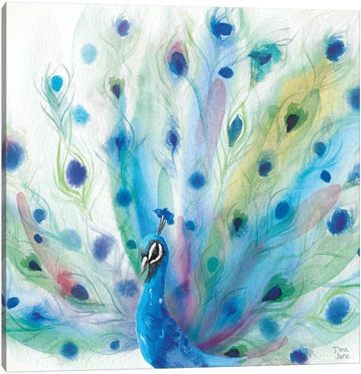 Peacock Glory V Canvas Art Print