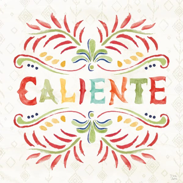 Latin Décor: Sweet And Spicy XIII by Dina June