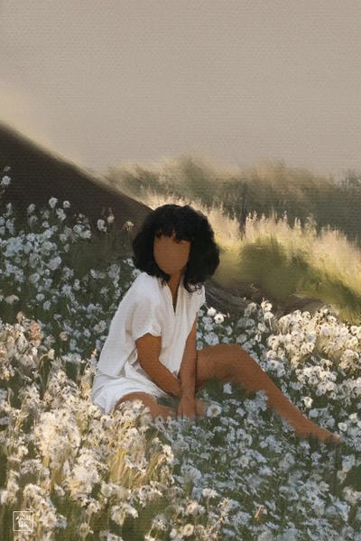 Daisies: Daisy Field by Andileh