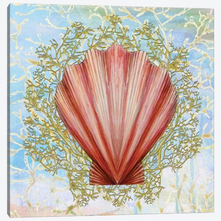 Shell Medley I Canvas Print #DIN20} by Diannart Canvas Art Print