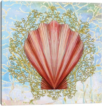 Shell Medley I Canvas Art Print