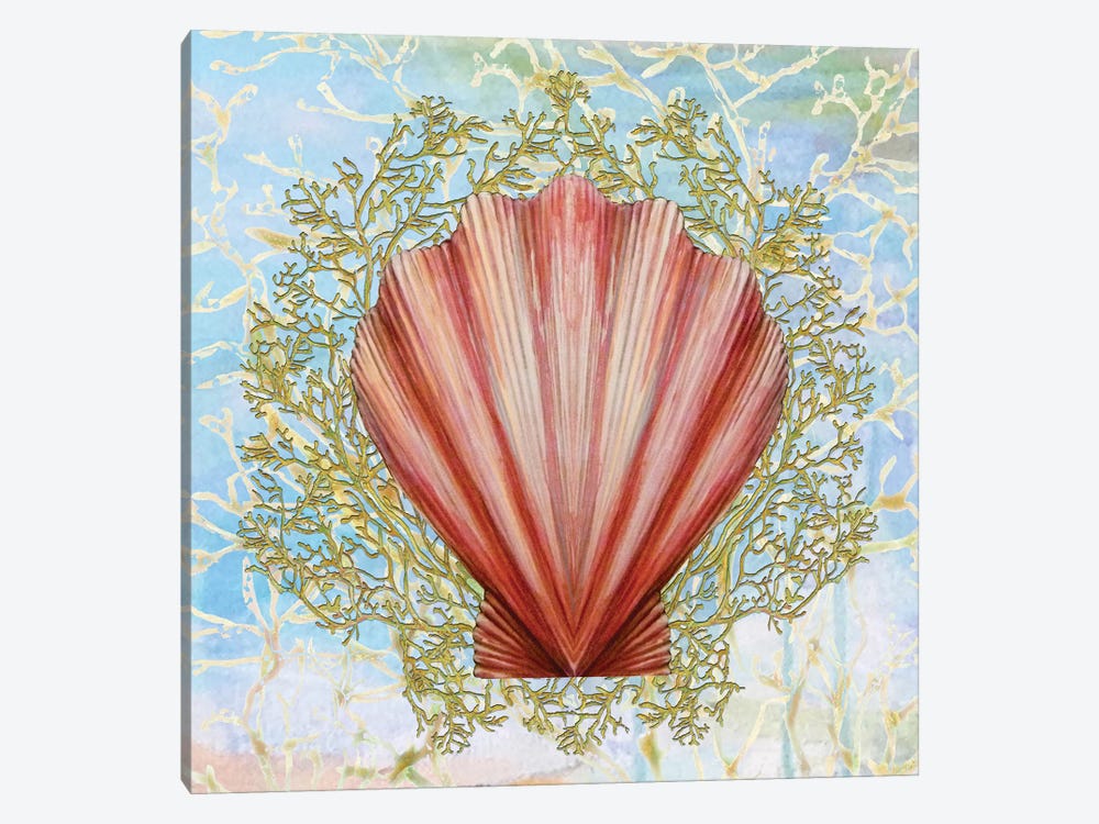 Shell Medley I by Diannart 1-piece Canvas Art Print