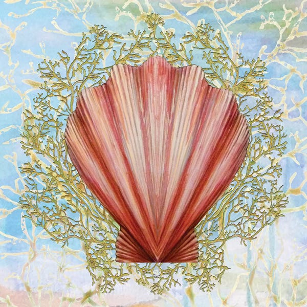 Diannart: Shell Medley I by Diannart