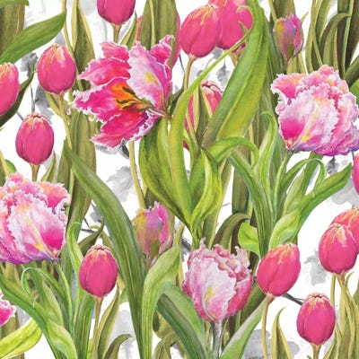 Tulip Symphony I by Diannart metal wall art
