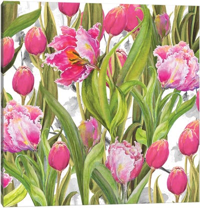 Tulip Symphony I Canvas Art Print - Tulip Art