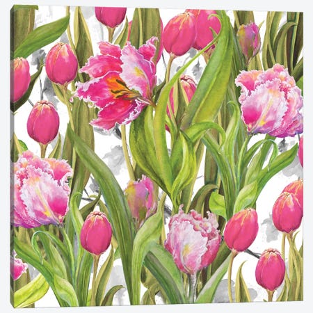 Tulip Symphony I Canvas Print #DIN26} by Diannart Canvas Artwork