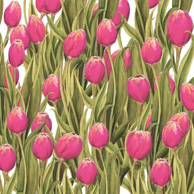 Tulip Symphony II by Diannart metal wall art