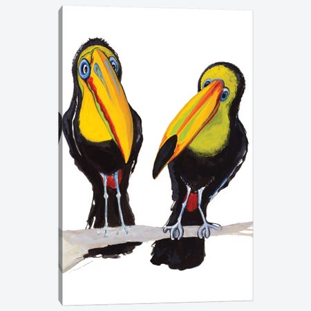 Two Toucans Canvas Print #DIN28} by Diannart Canvas Art Print