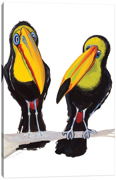 Two Toucans Canvas Art Print