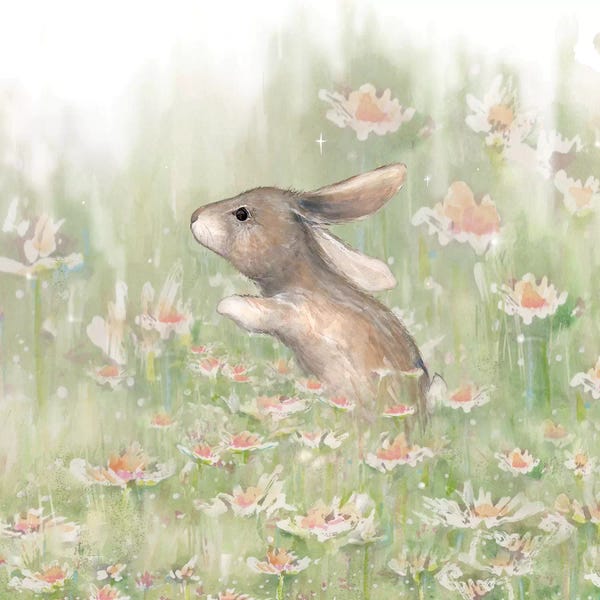 Rabbits: Meadow Visitor II by Diannart