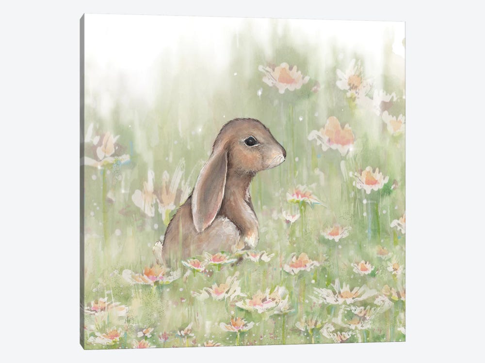 Meadow Visitor III by Diannart 1-piece Canvas Art