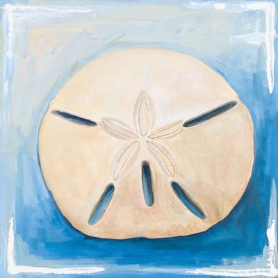 Sand Dollar on Blue by Diannart framed canvas print