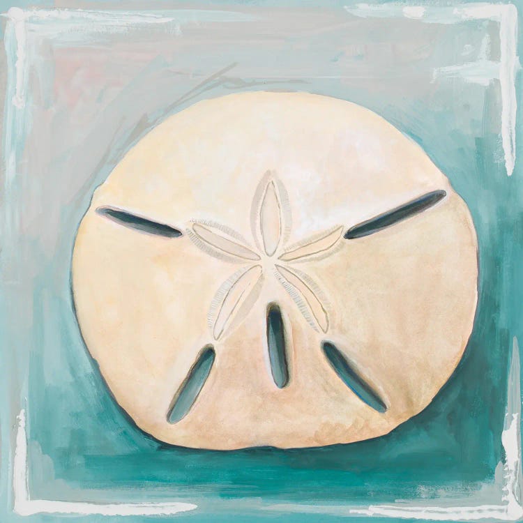 Sand Dollar on Teal by Diannart wall art