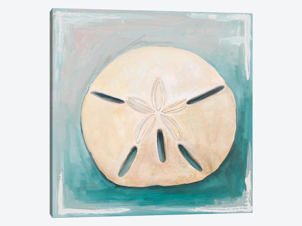 Sand Dollar on Teal by Diannart 1-piece Canvas Art