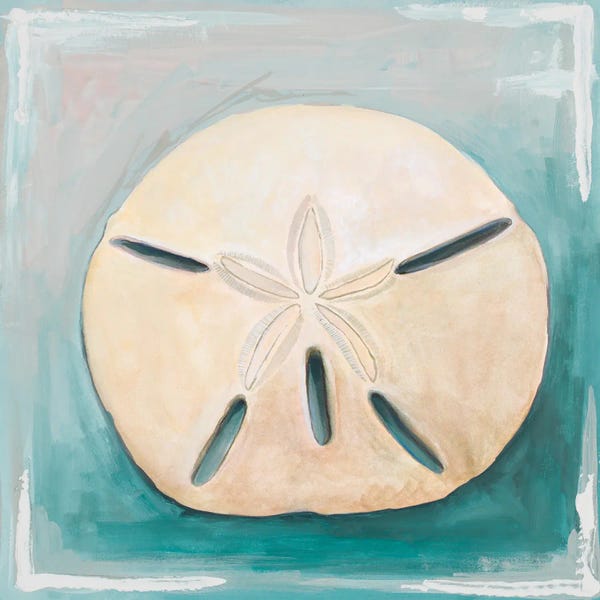 Sand Dollars: Sand Dollar on Teal by Diannart