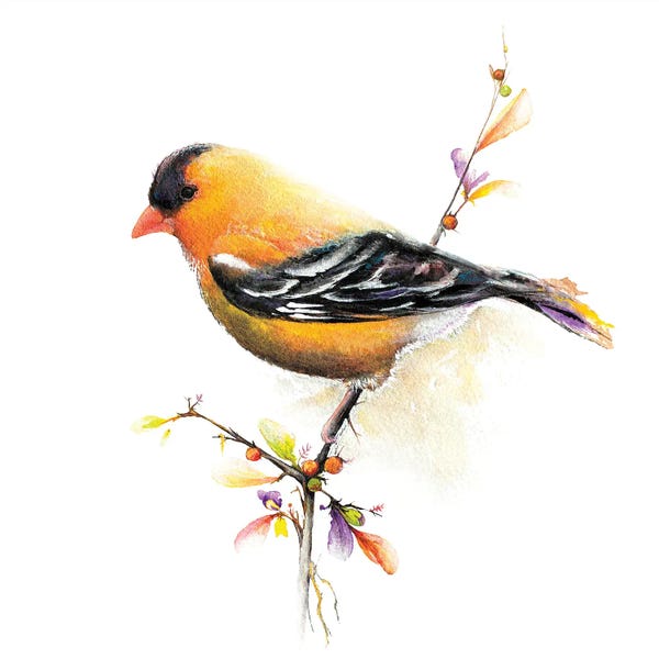 Diannart: Watercolor Chickadee III by Diannart