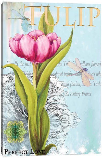 Elegant Tulip I Canvas Art Print - Tulip Art