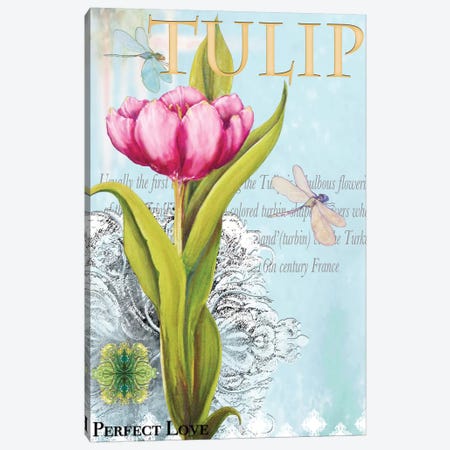 Elegant Tulip I Canvas Print #DIN5} by Diannart Canvas Artwork