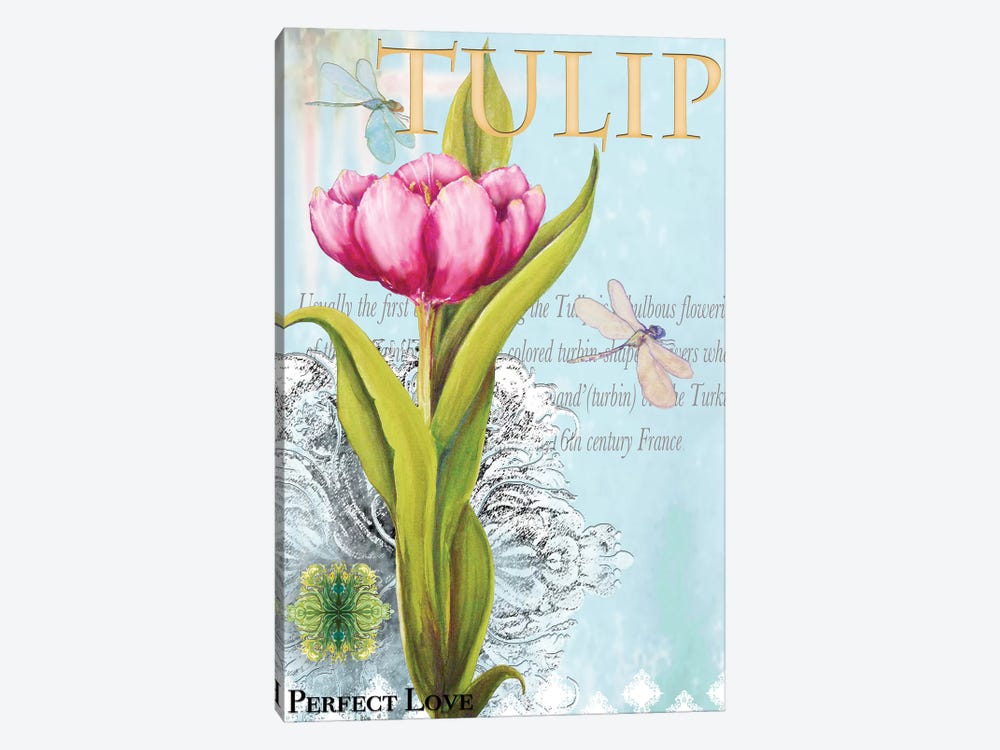 Elegant Tulip I by Diannart 1-piece Canvas Art
