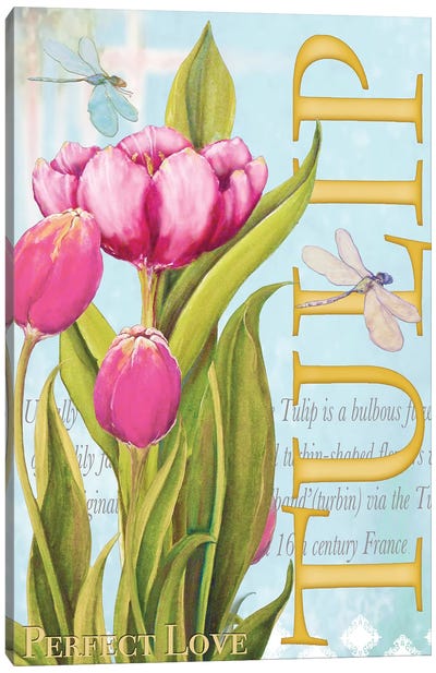 Elegant Tulip II Canvas Art Print - Tulip Art
