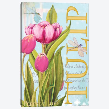 Elegant Tulip II Canvas Print #DIN6} by Diannart Canvas Art