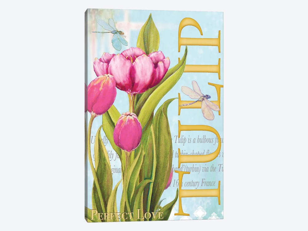 Elegant Tulip II by Diannart 1-piece Canvas Print