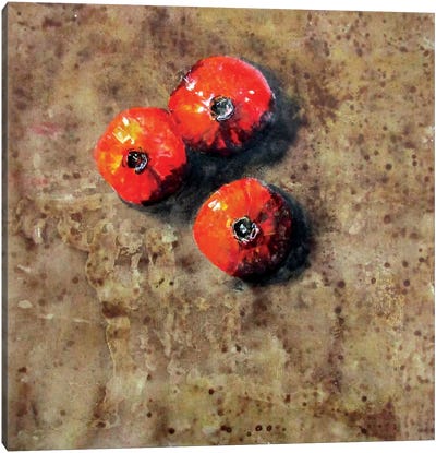 Composizione XXIX Canvas Art Print - Pomegranate Art