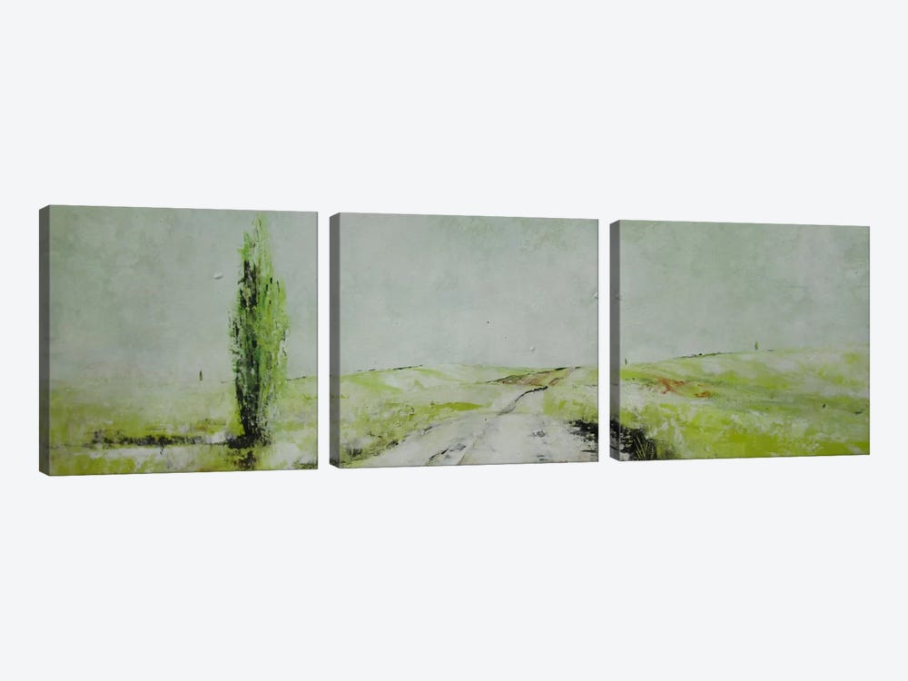 Stagioni II by Claudio Missagia 3-piece Canvas Art