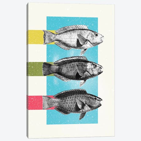 Fish Canvas Print #DIV15} by Danny Ivan Canvas Print