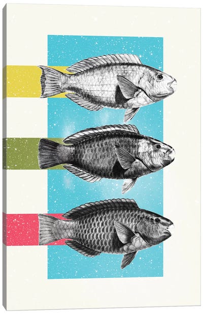 Fish Canvas Art Print - Danny Ivan