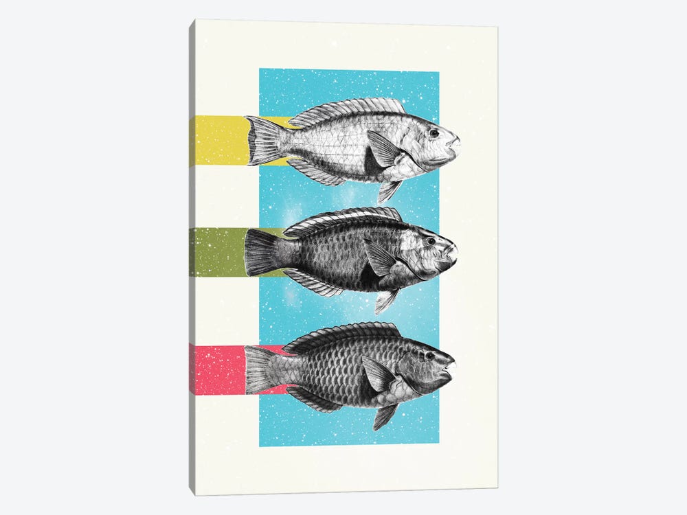 Fish by Danny Ivan 1-piece Art Print