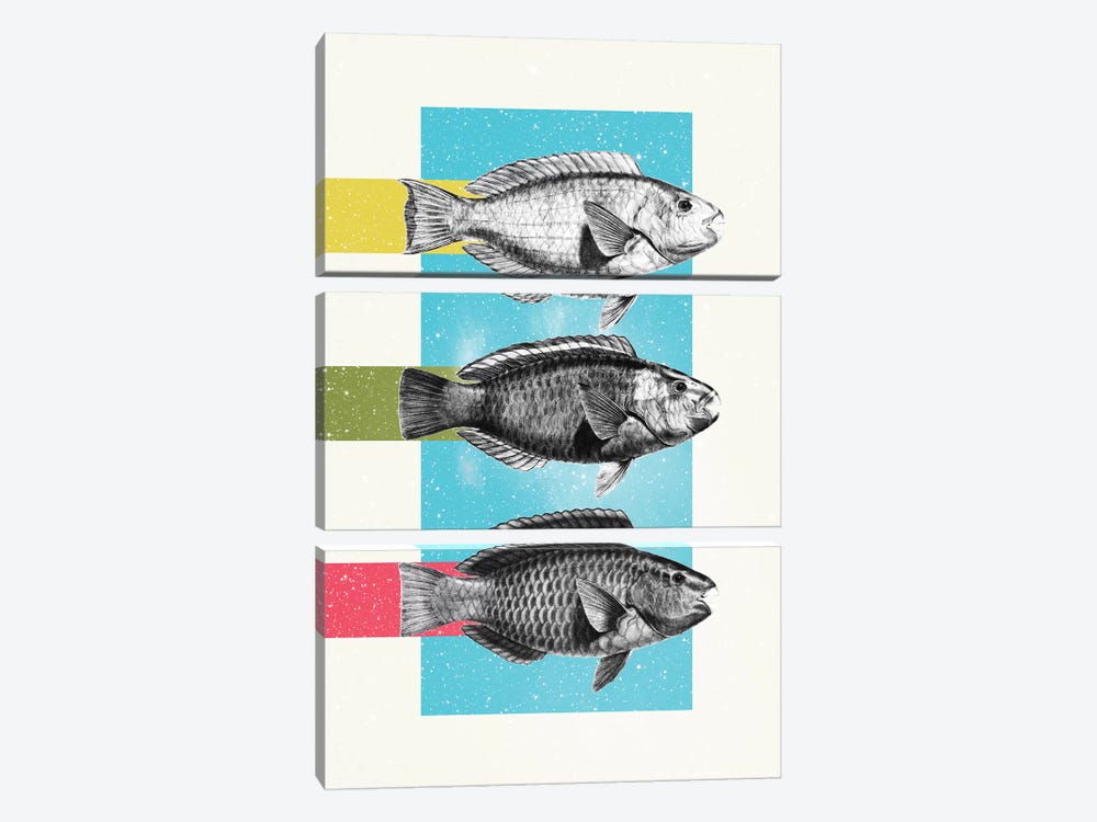 Fish by Danny Ivan 3-piece Art Print