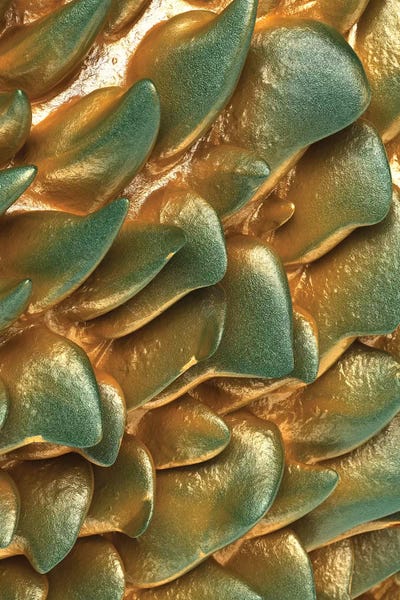 Danny Ivan: Gold Rock by Danny Ivan