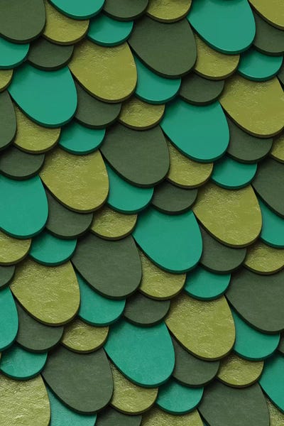 Green Scales by Danny Ivan framed canvas print