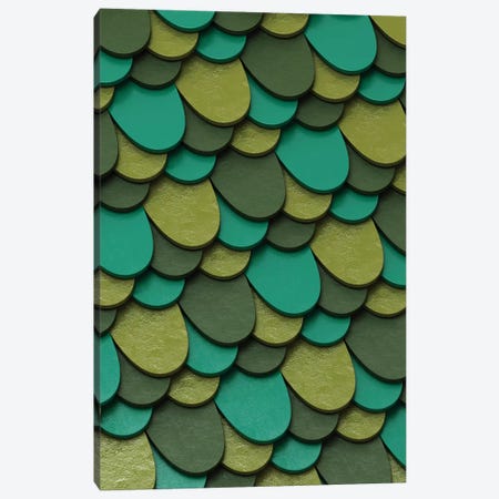 Green Scales Canvas Print #DIV19} by Danny Ivan Canvas Wall Art