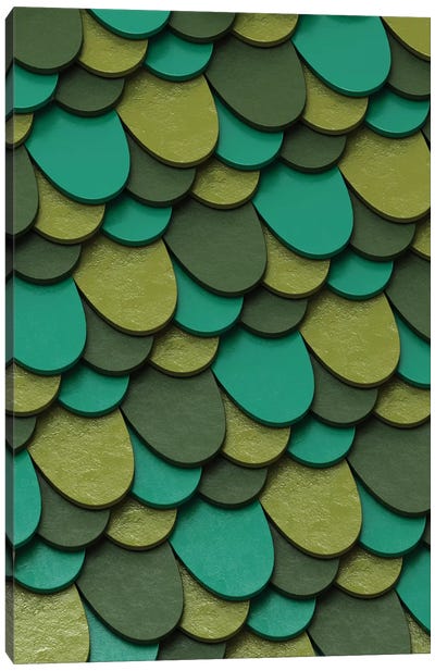 Green Scales Canvas Art Print - Danny Ivan