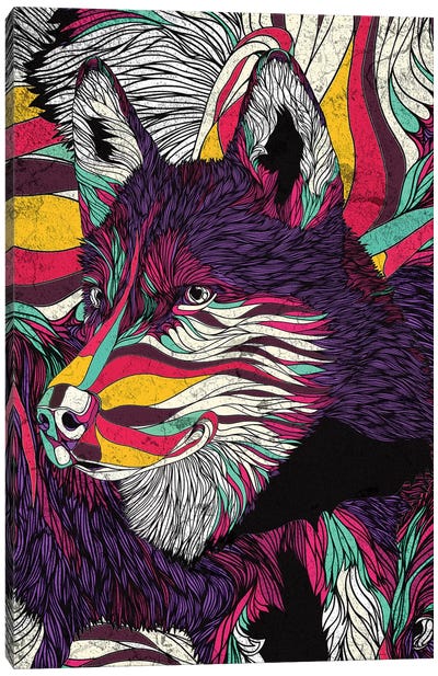 Color Husky Canvas Art Print