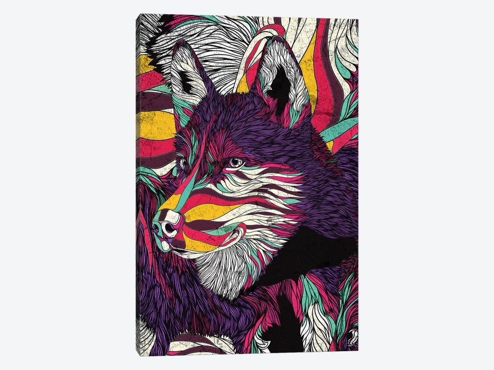 Color Husky by Danny Ivan 1-piece Canvas Print