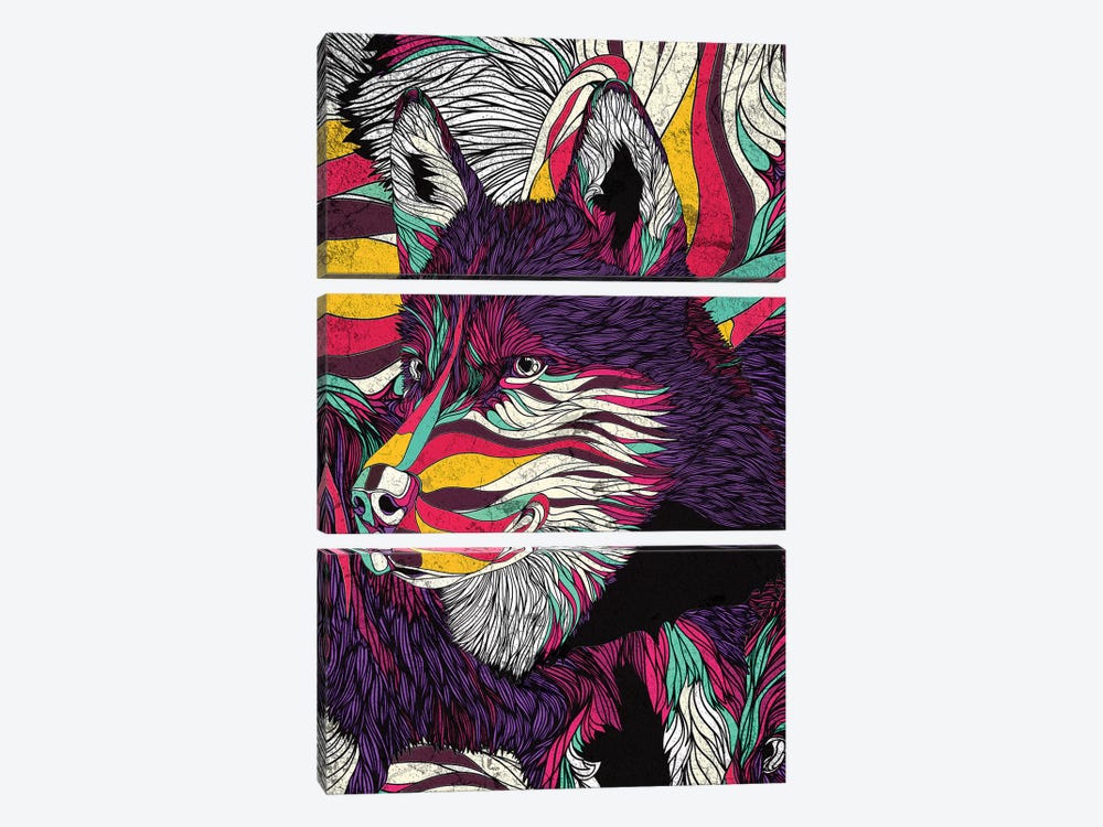 Color Husky by Danny Ivan 3-piece Canvas Print