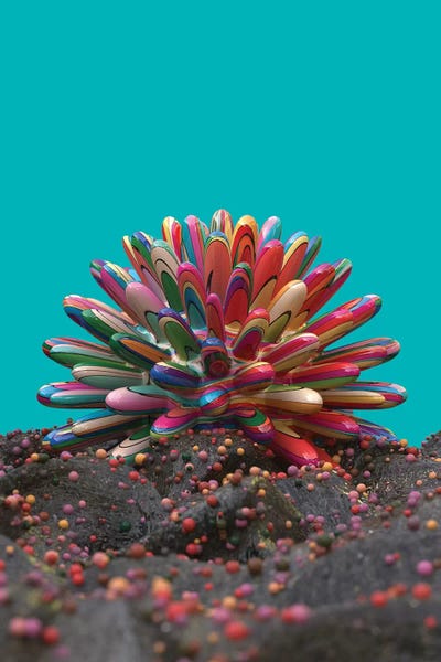 Danny Ivan: Coral by Danny Ivan