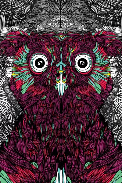 Danny Ivan: Owl You Need Is Love by Danny Ivan