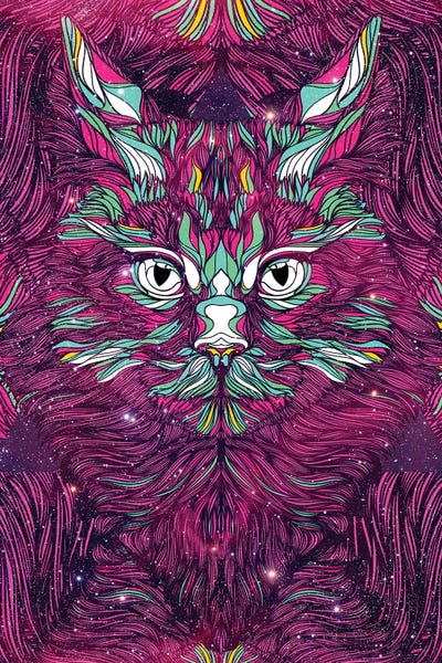 Space Cat by Danny Ivan framed canvas print